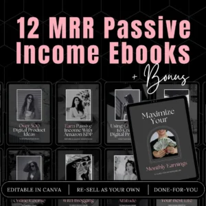 MRR Passive Income eBook Bundle with Private Label Rights (PLR)